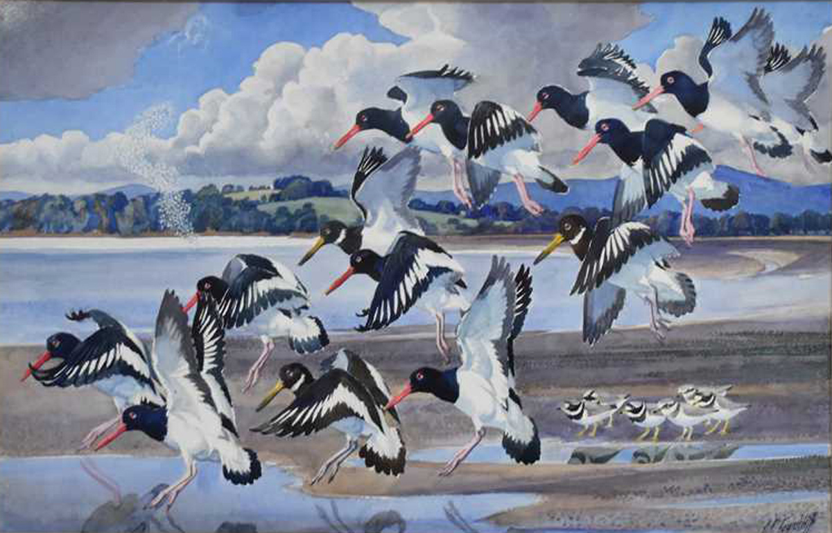 Charles Tunnicliffe watercolour