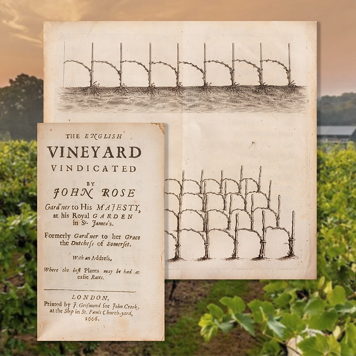 May 9 2024 CA Wine Book