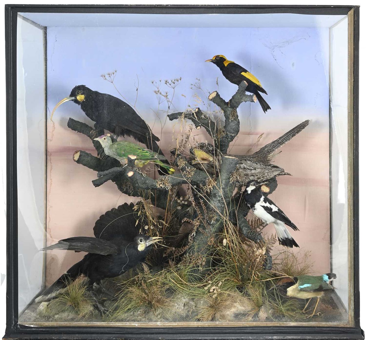 Taxidermy
