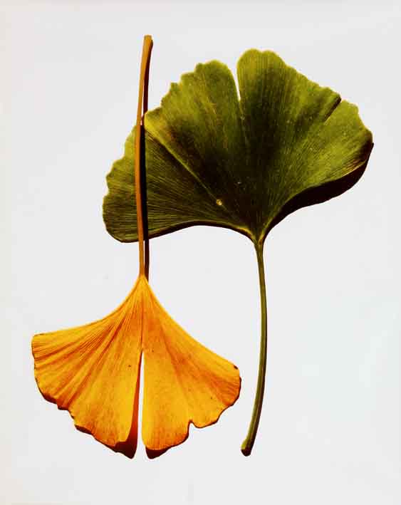 15-10-21-2213NE01A Irving Penn sworders auction.jpg