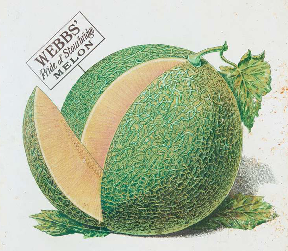 Webb’s Seeds of Stourbridge enamel sign