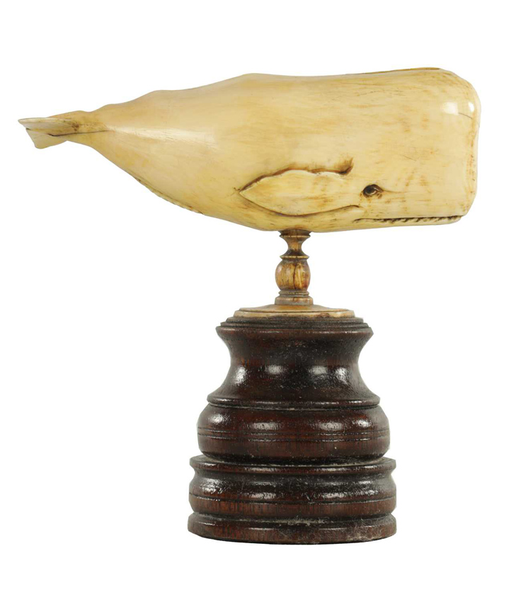 Scrimshaw whale