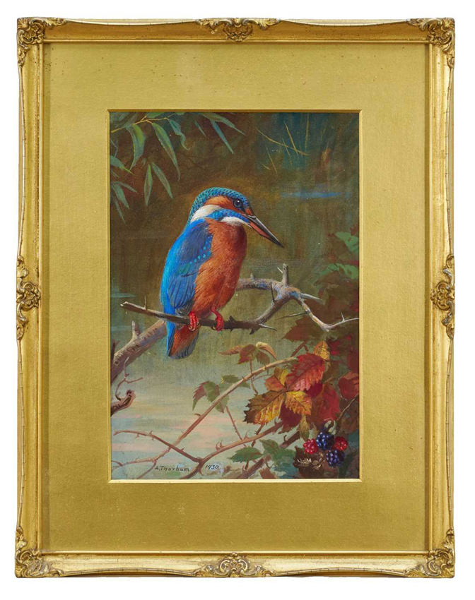 Kingfisher by Archibald Thorburn