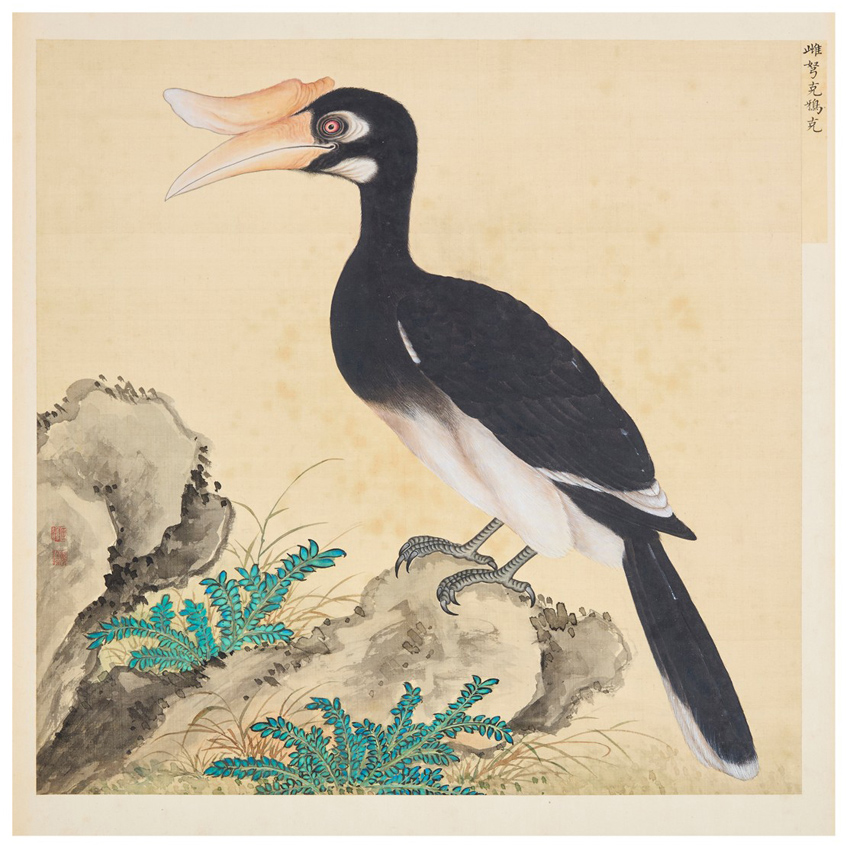 Jiang Tingxi bird