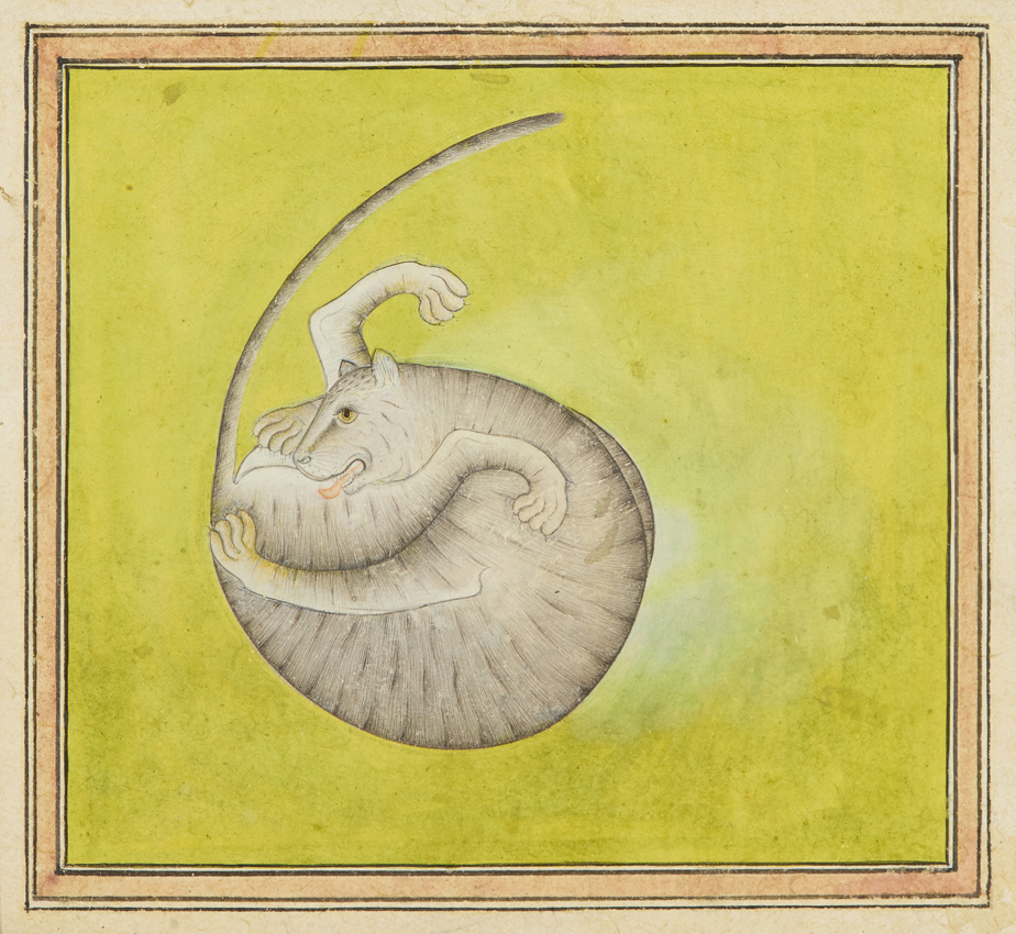 Indian cat painting
