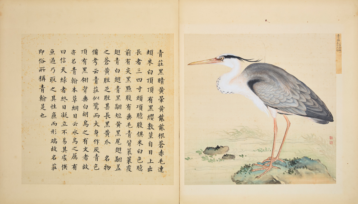 Grey Heron by Jiang Tingxi