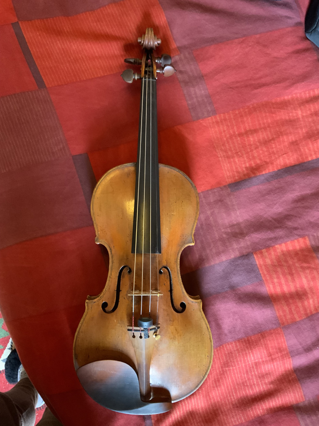 Violin