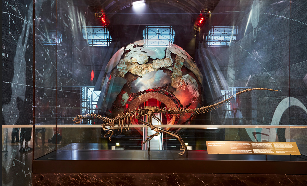 Dinosaur Skeleton 2702NEDI 04 07 2025