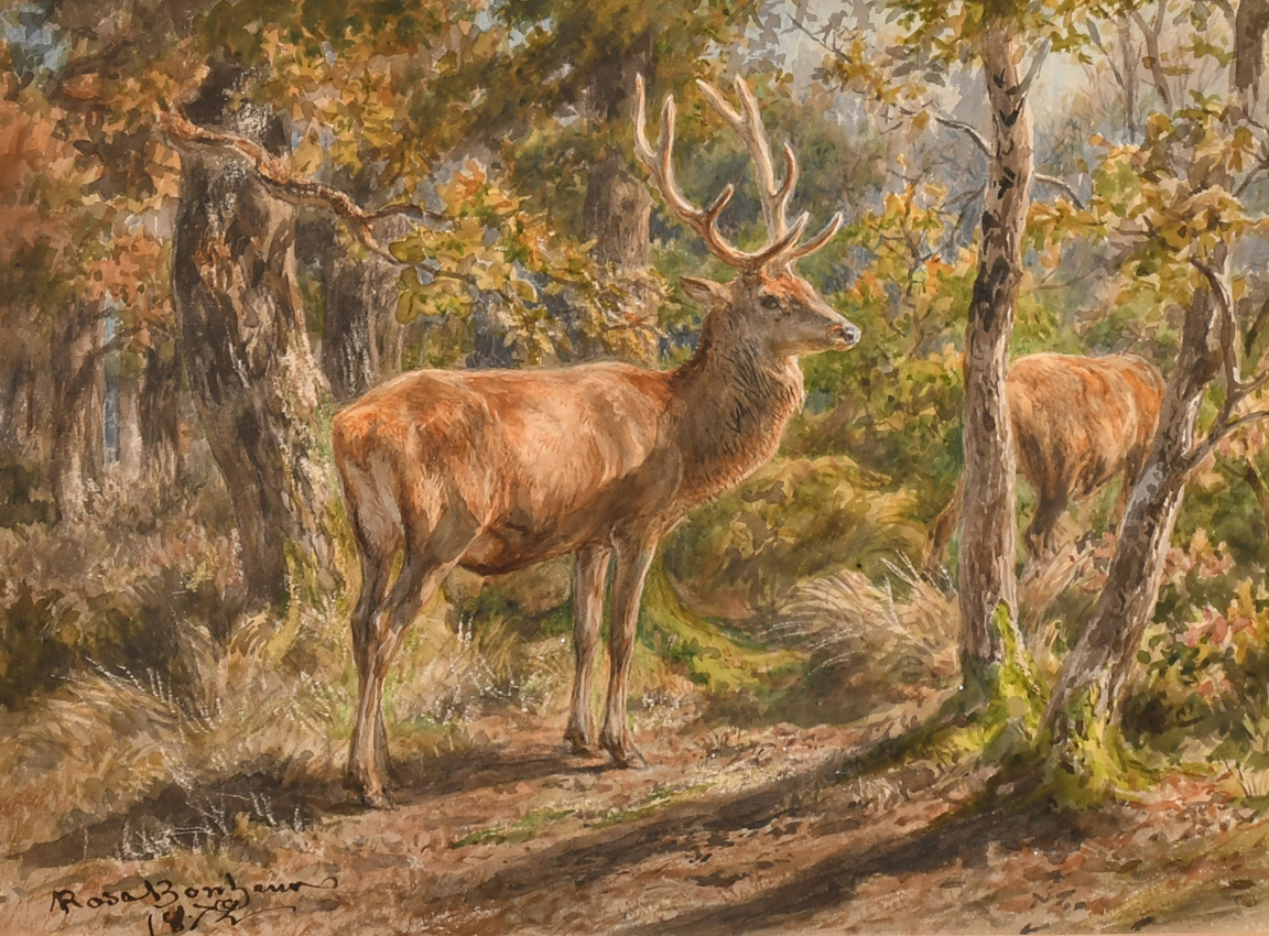 Deer in a Woodland by Rosa Bonheur