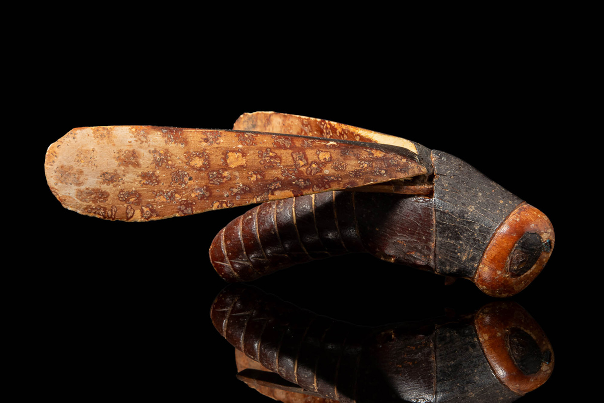The Guennol Grasshopper