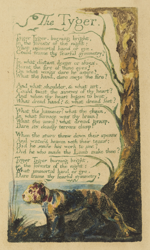 The Tyger by William Blake