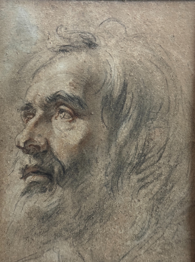 head study of a bearded man