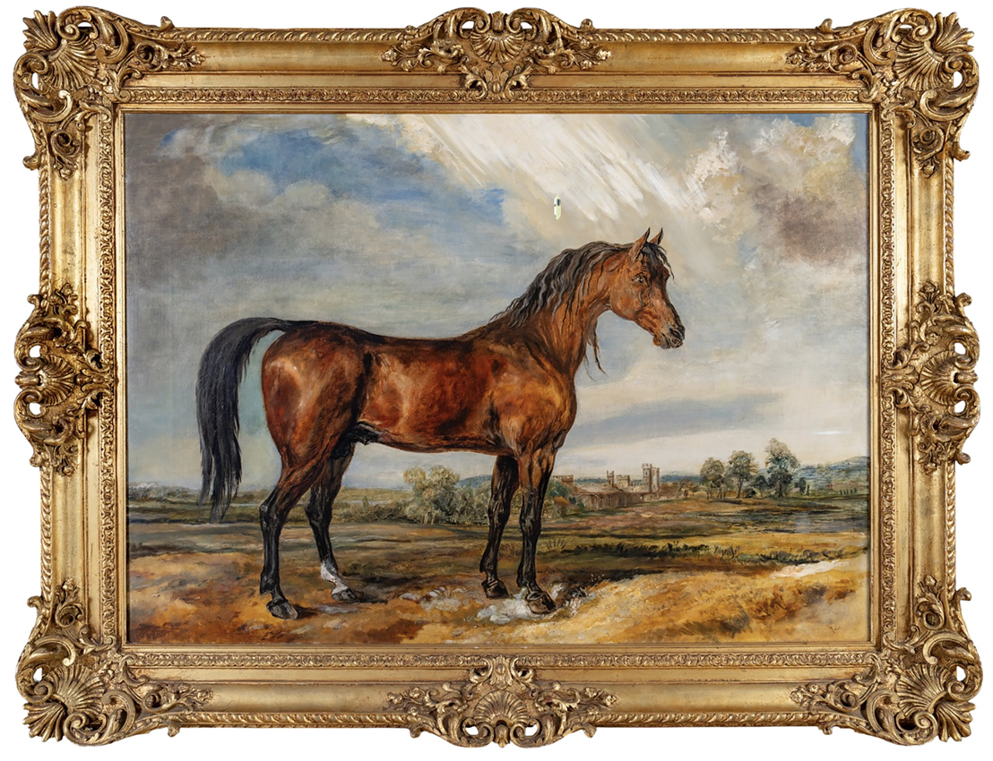 James Ward equine portrait
