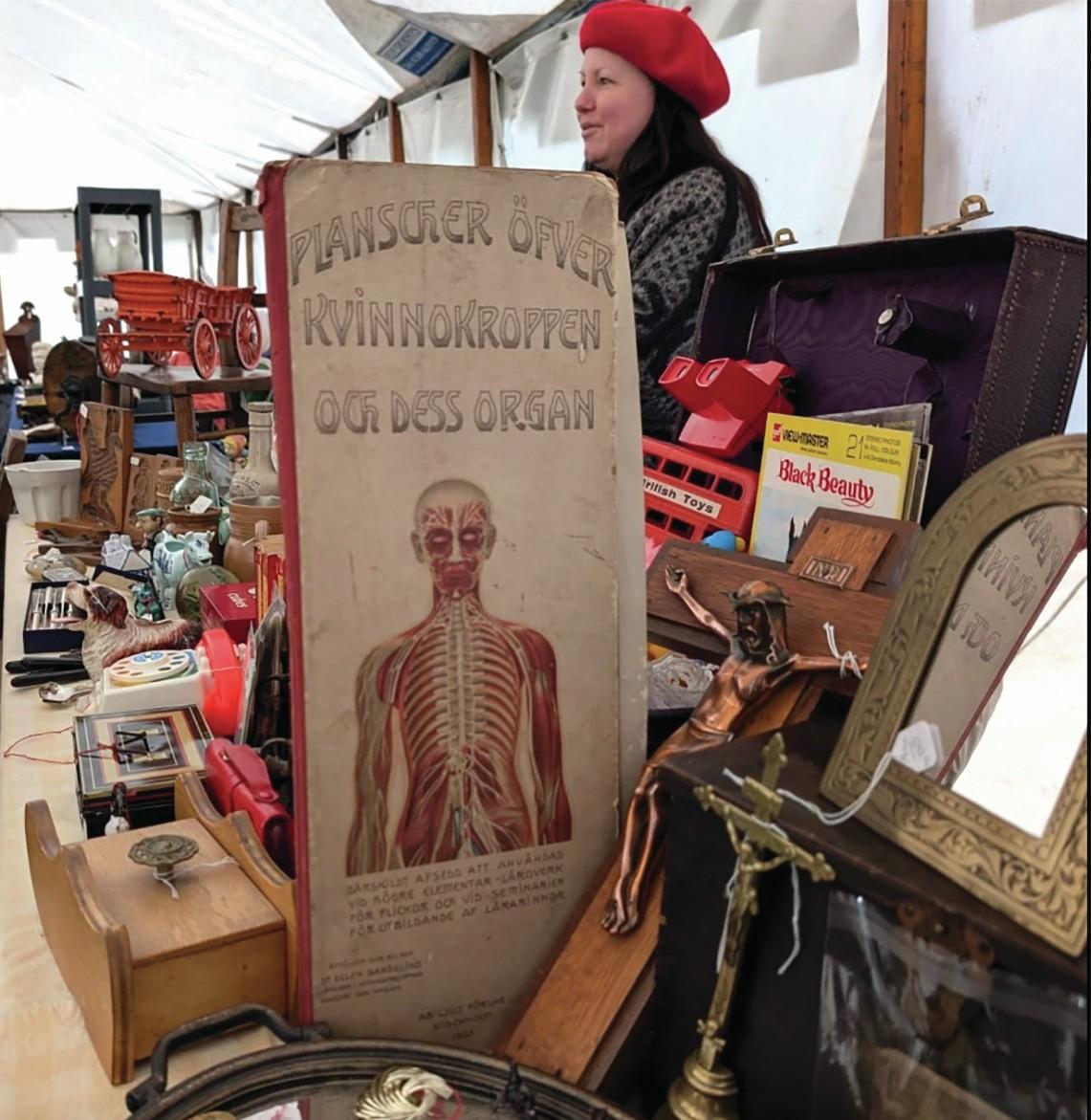 An anatomical poster on a dealer's stand at the Wolsingham Antique & Salvage Fair.
