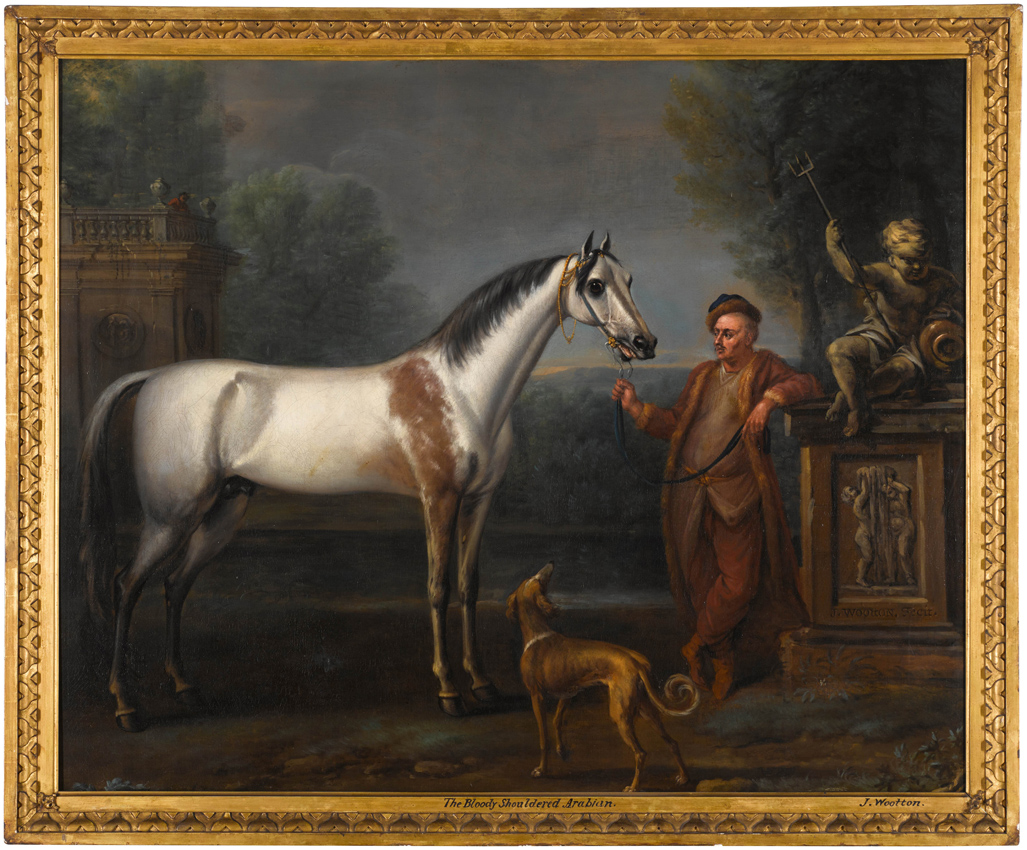 Lord Harley’s Bloody Shouldered Arabian 