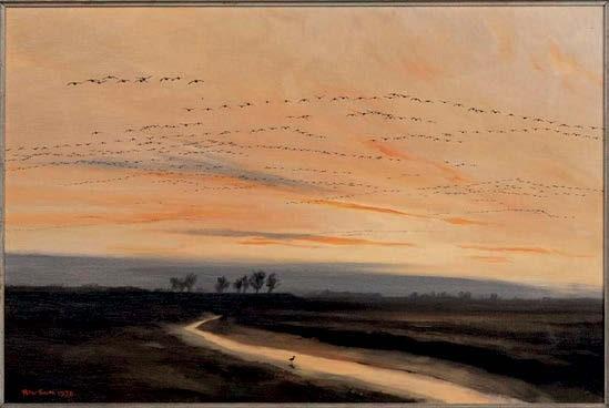 Sunset Bird Formations