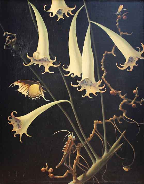 15-07-02-2198NE01A Franz Sedlacek.jpg