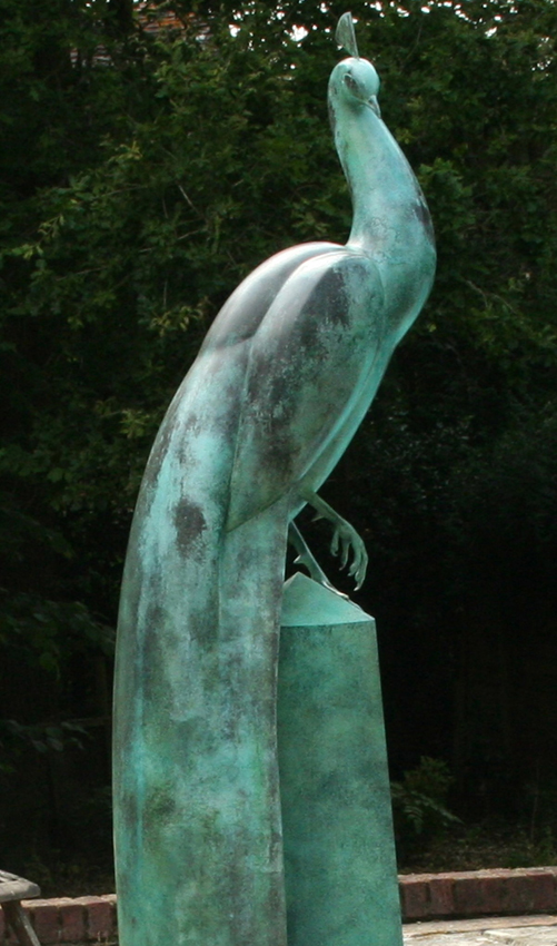 Peacock