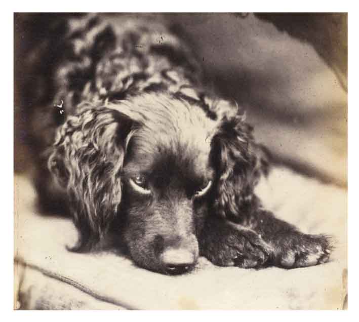 14-10-27-2164NE02B Bonhams auction.jpg