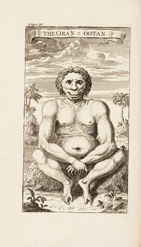 Daniel Beeckman's 'Voyage to the island of Borneo'