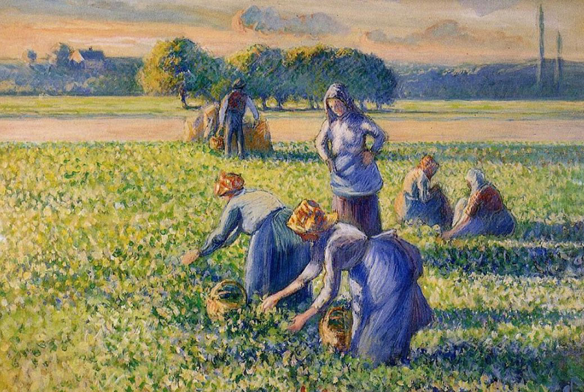 Pissarro’s La cueillette des pois