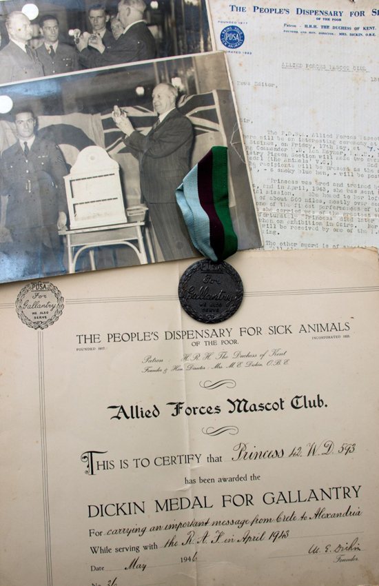 WEB pigeon Dickin medal 6-12-17.jpg
