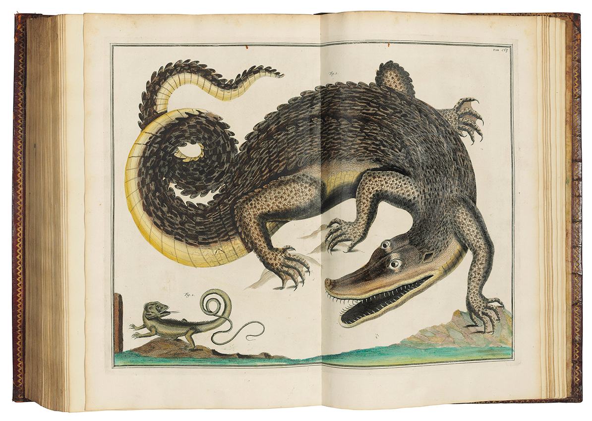 Albertus Seba's Cabinet of Natural History