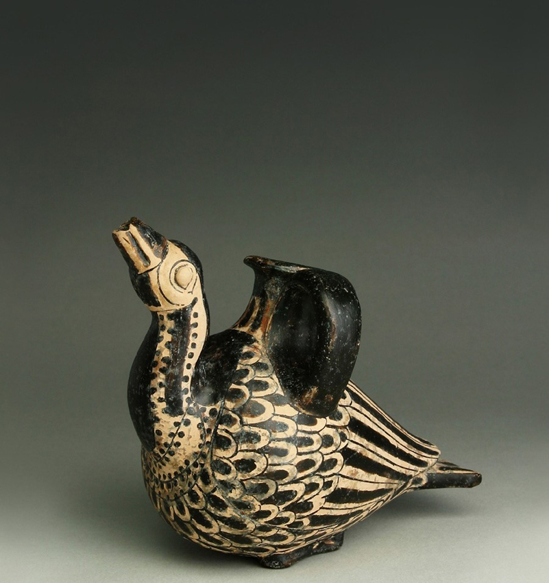 Duck