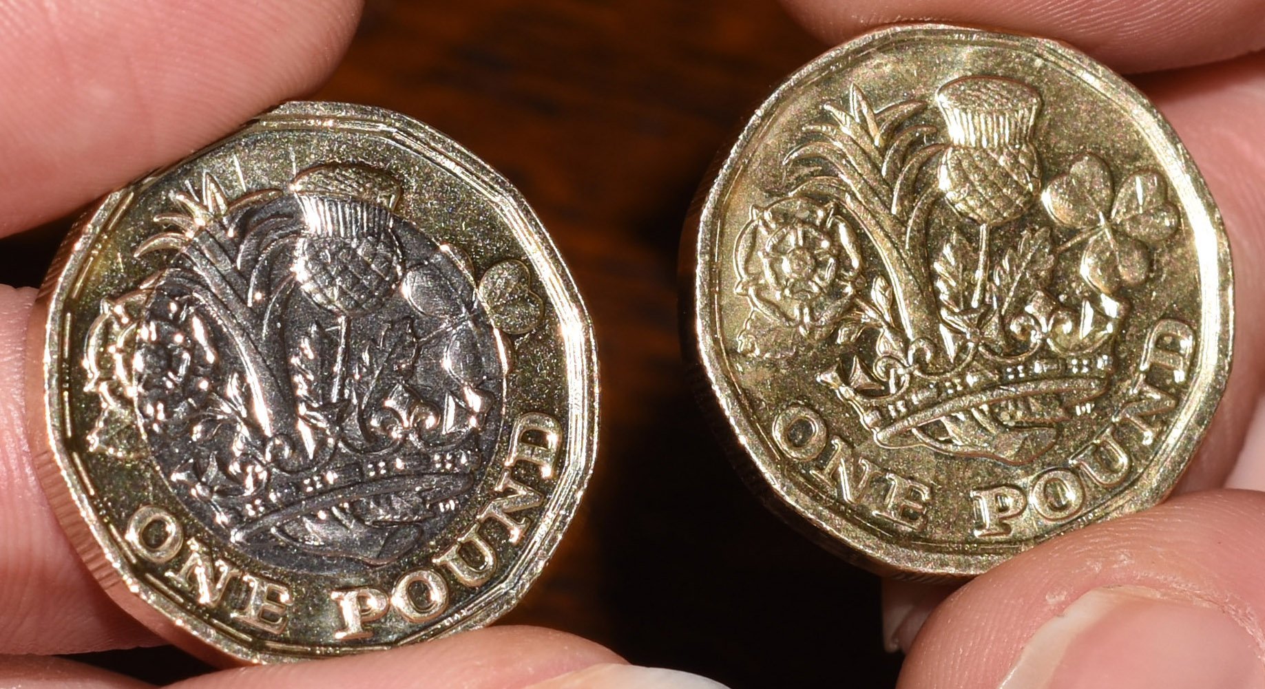 coin2.jpg