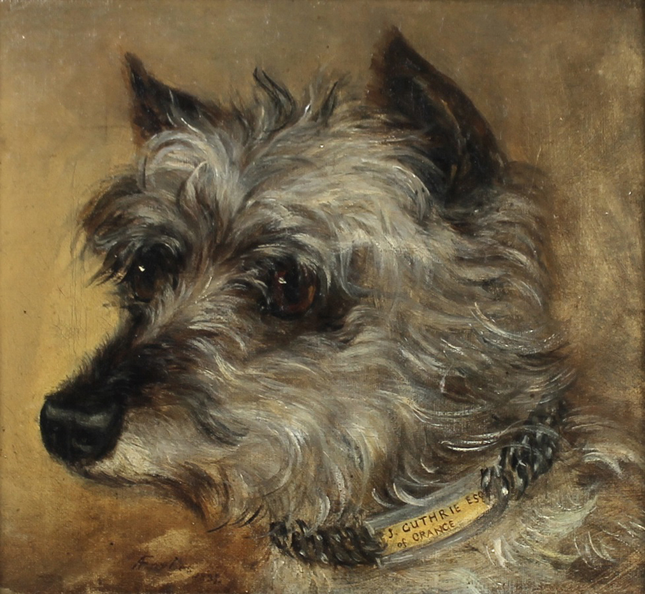terrier
