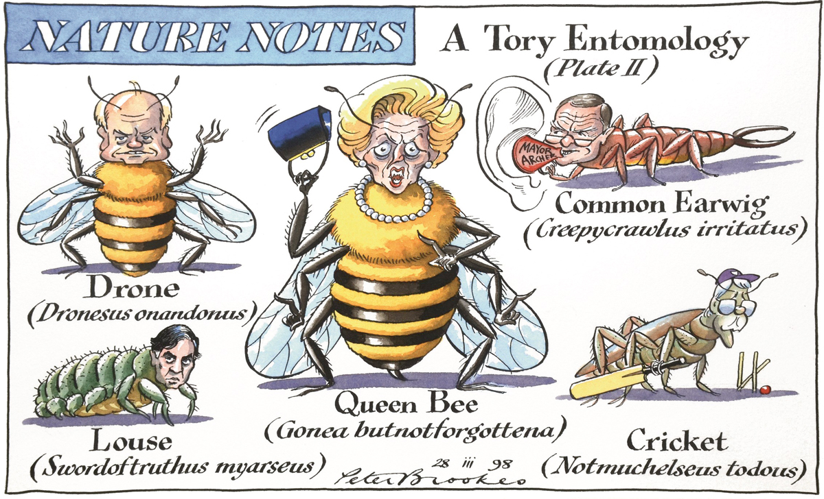 Peter Brookes pen ink and watercolour