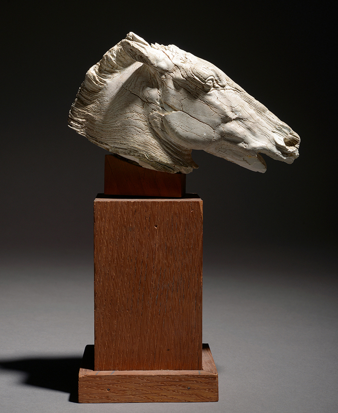 Ancient Greek carved ivory horse’s head