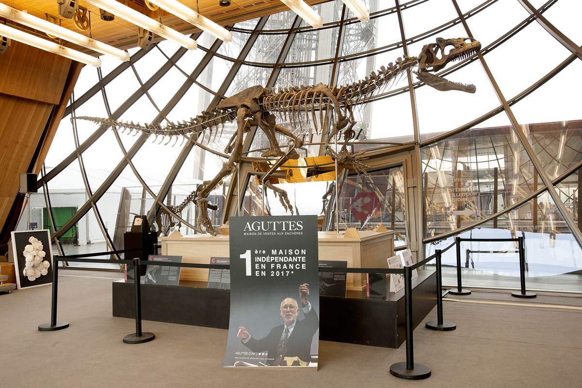 Dinosaur skeleton at Aguttes auction