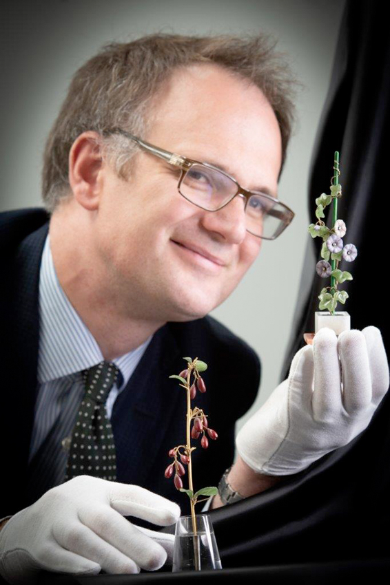 Auctioneer Charles Hanson from Bargain Hunt and Antiques Road Trip