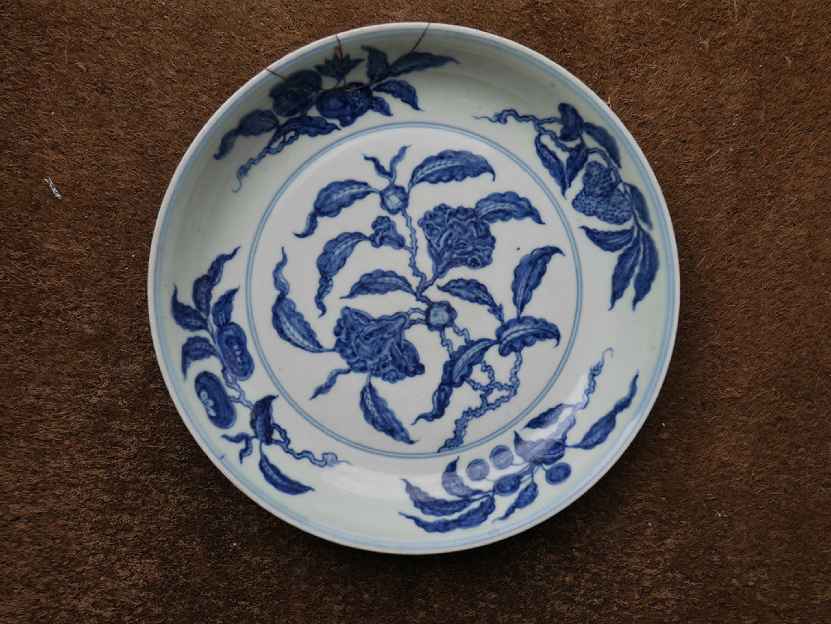 ming dish1.jpg