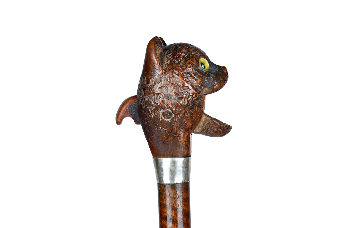 Cat cane