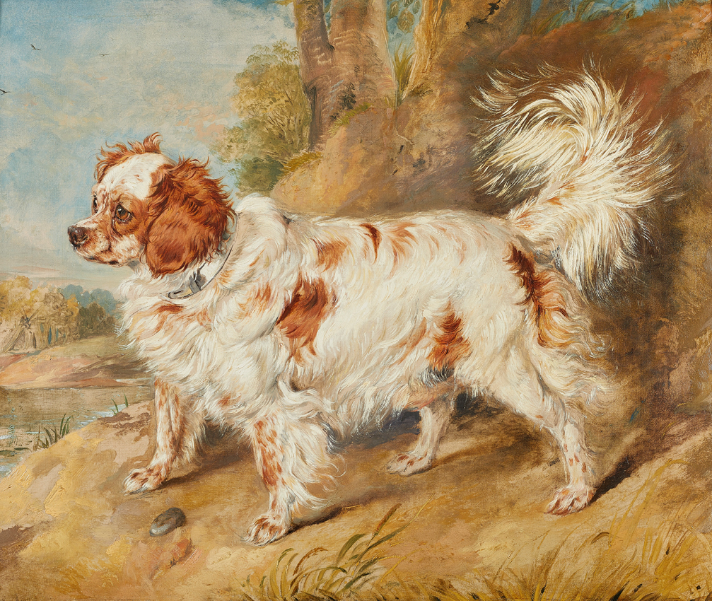 Landseer dog Northern 27-09-18 2361.jpg