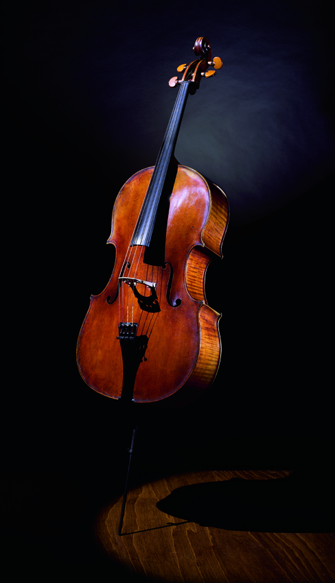 Guadagnini cello