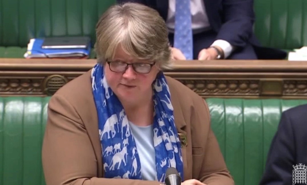 Thérèse Coffey, minister at Department for Environment, Food and Rural Affairs