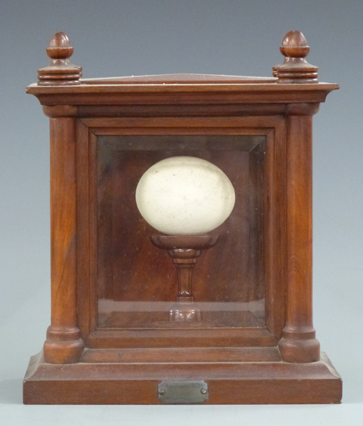 Penguin egg
