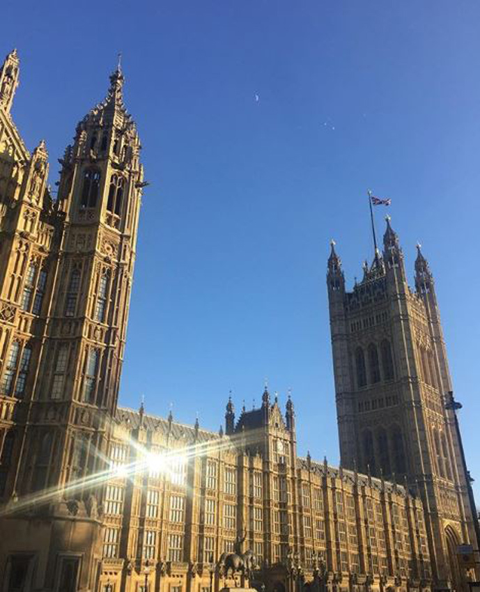 The Houses of Parliament