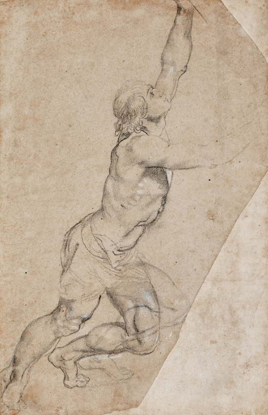 Peter Paul Rubens drawing