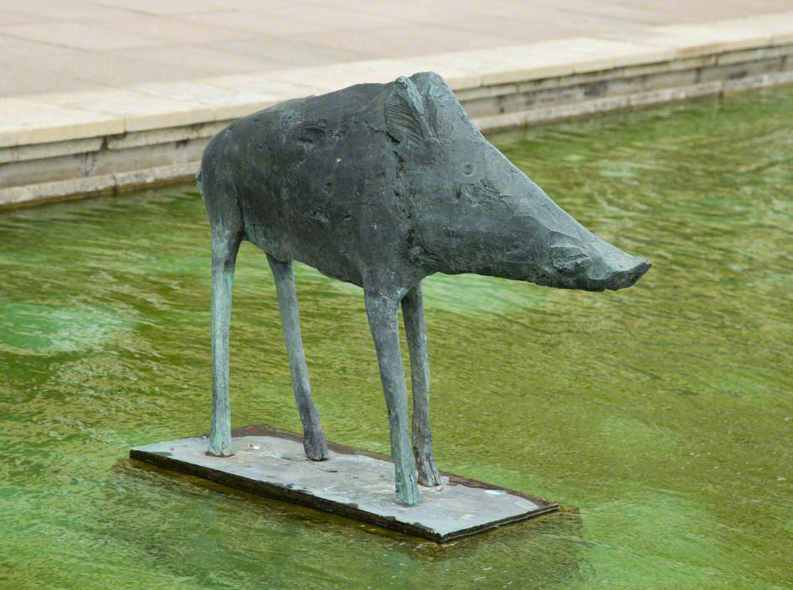Boar