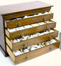 1932NE02C.jpg (2)