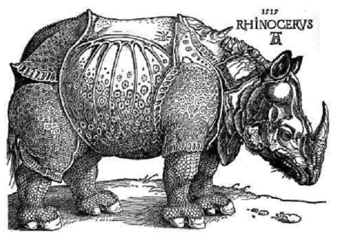 Rhino