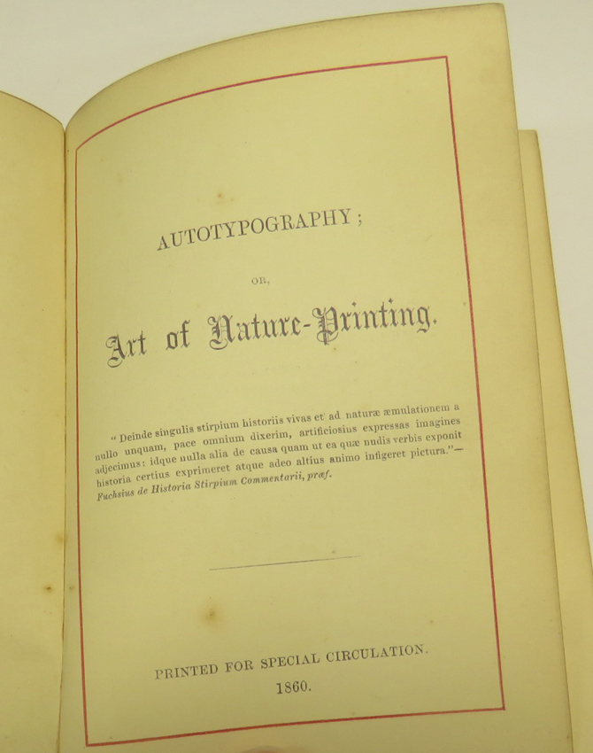 Henry Bradbury's Autotypography