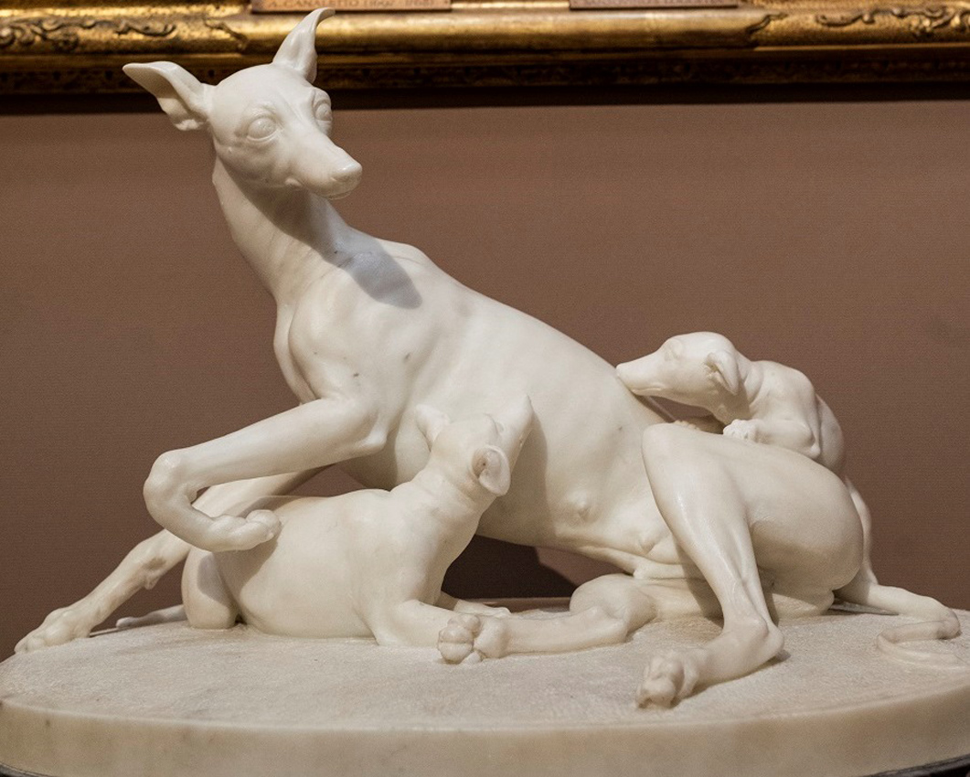 Joseph Gott’s Greyhound with Puppies