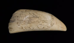 1902NE03A.jpg