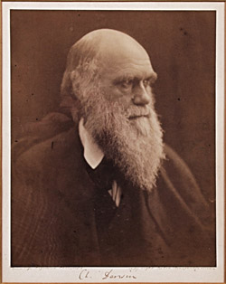 1889NE01A.jpg