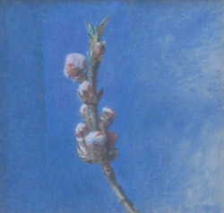 1836NE01A.jpg
